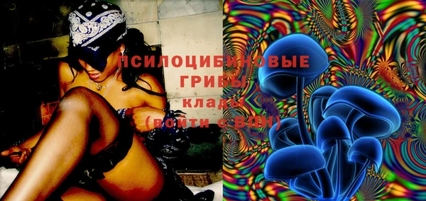 мдпв Абдулино