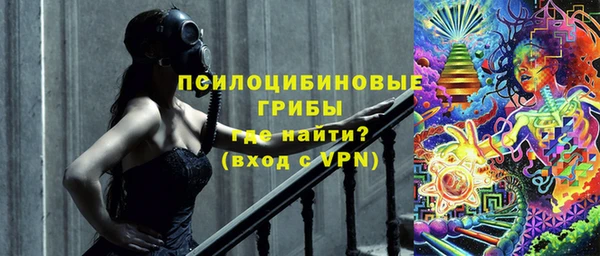 apvp Михайлов