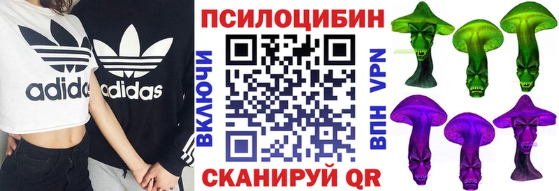 Галлюциногенные грибы MAGIC MUSHROOMS  как найти наркотики  мега   Суздаль 