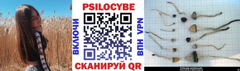 Псилоцибиновые грибы мухоморы Суздаль